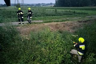 Strażacy wyciągnęli kota z rzeki