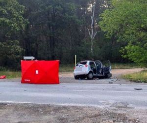 Śmiertelny wypadek na DK 12 pod Piotrkowem Tryb. Kierujący chevroletem wjechał pod tira [ZDJĘCIA]