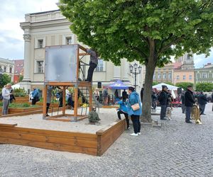Historyczne Wielkopolskie Obchody Dnia Strażaka w Lesznie