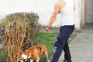 Pies odgryzł maleństwu twarz