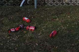 Śmiertelny wypadek pod Zgierzem! Mężczyzna spłonął w objętym pożarem fordzie [ZDJĘCIA]