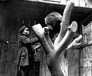 Tak kiedyś wyglądało zoo w Zamościu