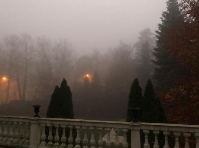 Dom Krystyny Jandy w Milanówku