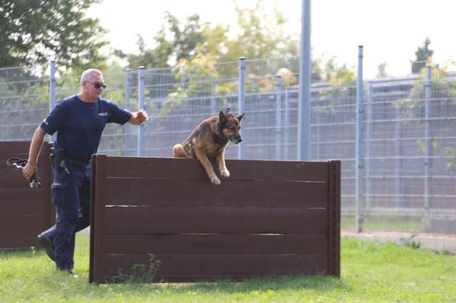 Wojewódzkie eliminacje do XXI Kynologicznych Mistrzostw Policji na obiektach KWP Lublin