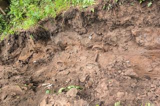 W Mamerkach odnajdą Bursztynową Komnatę? Do tej pory odkryto cenne historycznie przedmioty