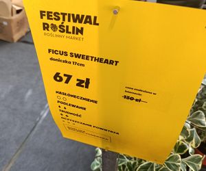 Festiwal Roślin we Władysławowie 12-13 października 2024