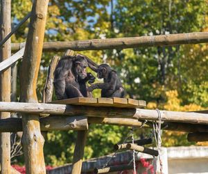 Warszawa Miejski Ogrod Zoologiczny