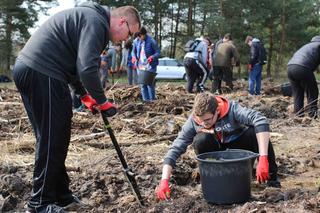 10 tys. nowych drzew w nadleśnictwie Bełchatów. W akcji udział wzięli pracownicy PGE i uczniowie