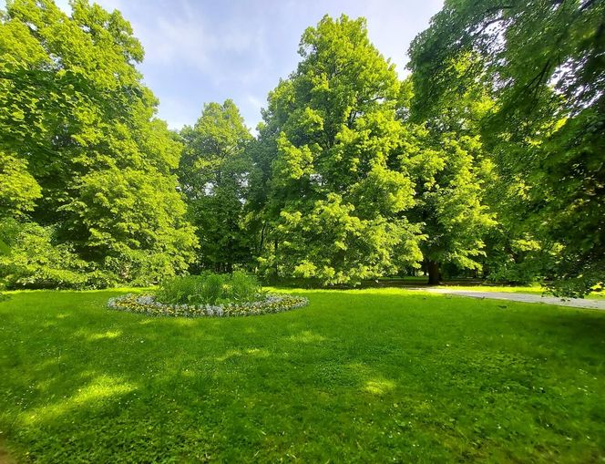 Park Miejski w Zamościu