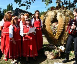 Tłumy na dożynkach w Olsztynku. Zobacz, jak wyglądało tegoroczne święto plonów