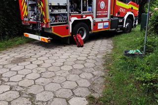 Staruszka wjechała samochodem do stawu! Dramatyczna akcja strażaków