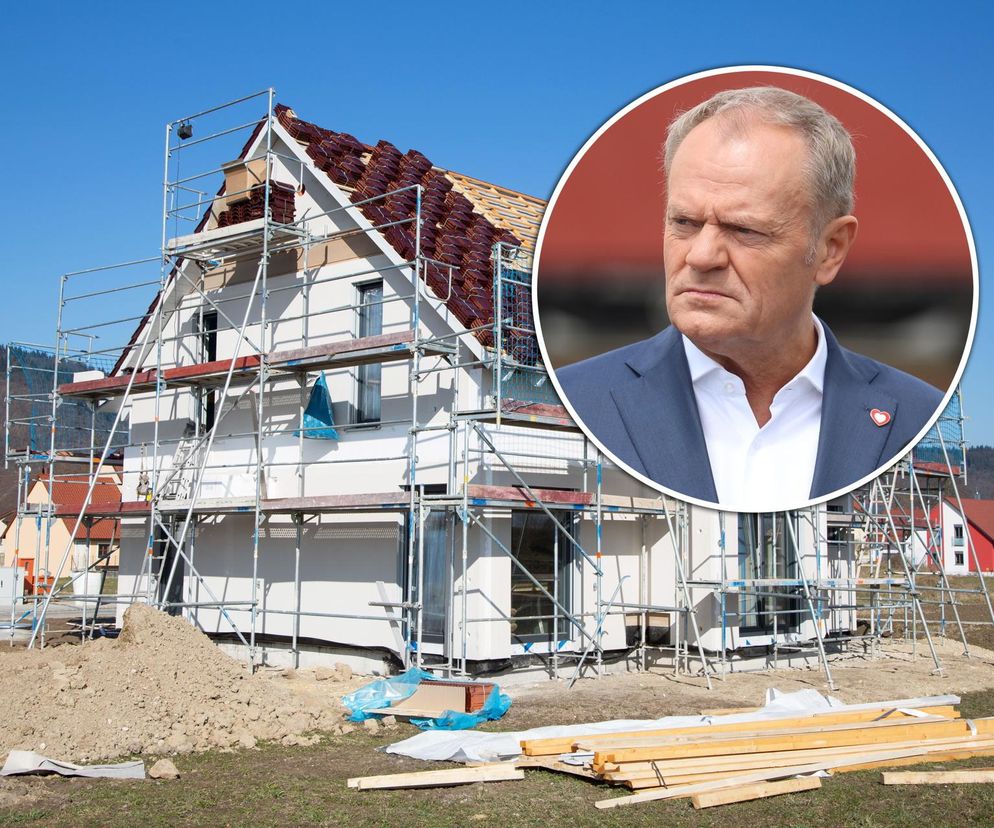 Tusk i budowa domu.