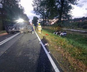 Przytoczna. Śmiertelny wypadek na DK 24. 49-latek nie żyje [ZDJĘCIA].