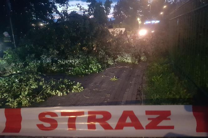 Gwałtowna burza nad Olsztynem - połamane drzewa