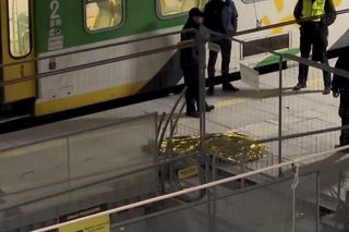 Tajemnicza śmierć na Dworcu Zachodnim. Szarpał się z kierowniczką pociągu, zmarł na peronie