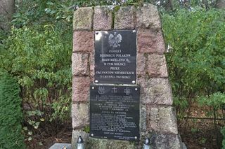 Niewybuchy z czasów II wojny światowej w Borowinie w powiecie łukowskim