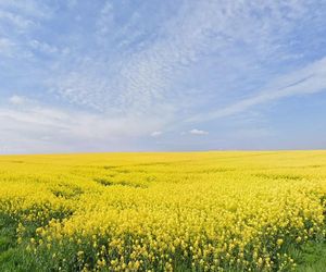 To najmniejsza wieś w Polsce. Ma zaledwie 30 hektarów i tylko kilku mieszkańców