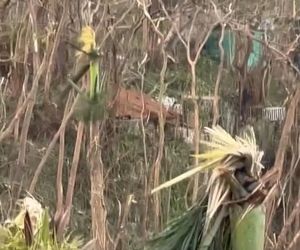 Michał Żebrowski pokazał oko cyklonu! Potworne zniszczenia po Melissie