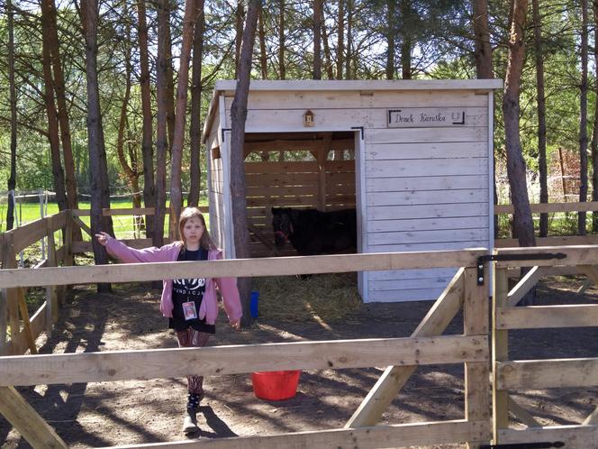 Fotorelacja z rodzinnego pikniku charytatywnego dla zwierząt z okazji I Dnia Konia w Łukówcu - 30.04.2023