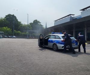 policja