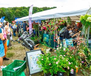 Wielki piknik kwietny finał 42. edycji konkursu „Warszawa w kwiatach”
