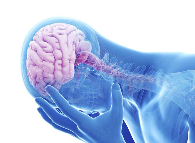 Udar Niedokrwienny Mózgu Zawał Mózgu Objawy Przyczyny Leczenie Skutki Poradnikzdrowiepl 5136