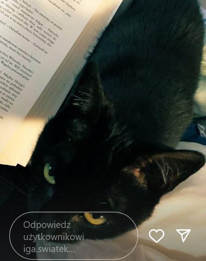 Iga Świątek opłakuje śmierć kotki Grappy