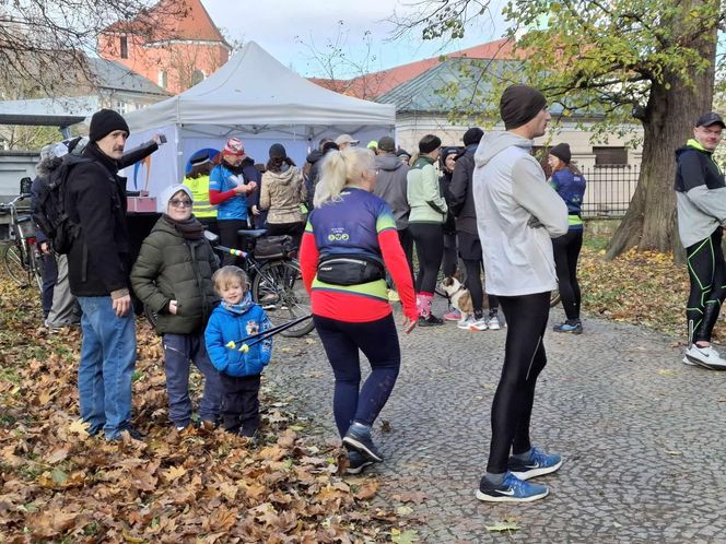 Bieg Wąsaczy w Kaliszu 