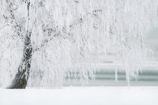 Siarczysty mróz na Podkarpaciu! Nawet -20°C. Eksperci wydali alerty [8.02/9.02.2023]