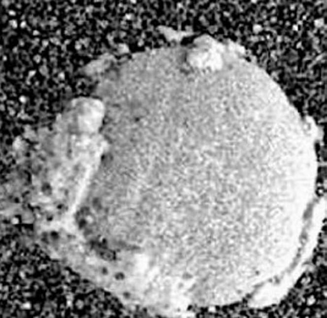 Kosmiczne grzyby na Marsie! Szokujące odkrycie naukowców