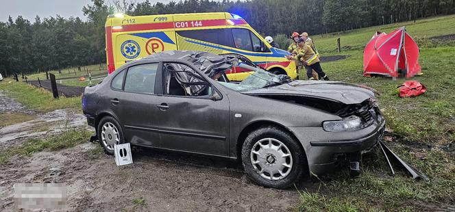 Tragiczna śmierć młodej kobiety w stawie! Wcześniej uderzyła autem w łosia [ZDJĘCIA]