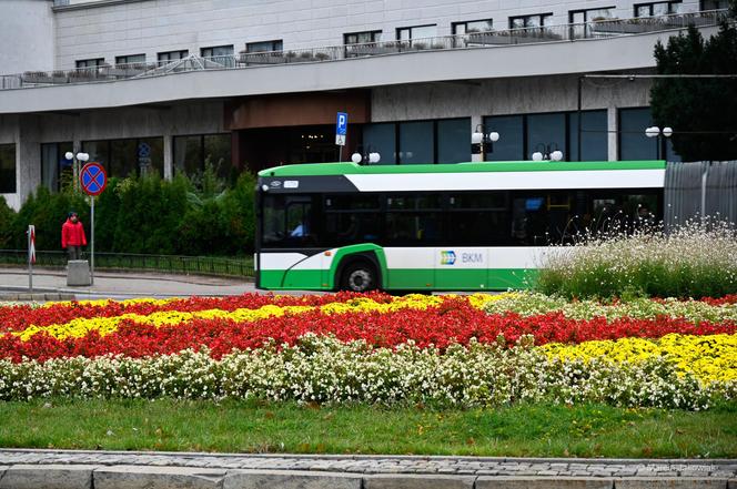 Źle działająca Białostocka Komunikacja Miejska