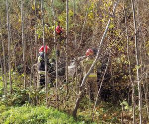 Wypadek Starachowice Rzepin 29.10.2023