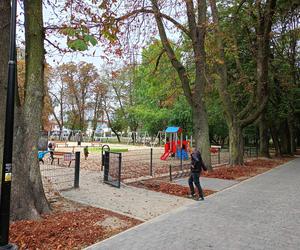 Jesienią w siedleckim parku miejskim Aleksandria nie brakuje amatorów spacerów i aktywności na świeżym powietrzu