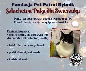 Pet Patrol Rybnik organizuje akcję Szlachetna Paka dla Zwierzaka 