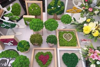 Zielona dzieła sztuki na tarnogórskim jarmarki wielkanocnym ZDJĘCIA