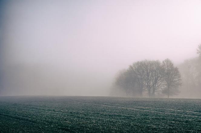 Gęsta mgła nad Polską