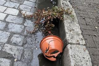 Sylwester się skończył, a kto posprząta? Centrum Wrocławia tonie w śmieciach