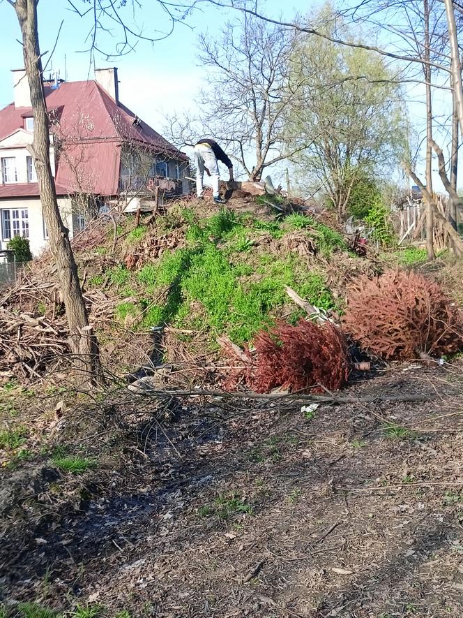 Kociak Kubuś uratowany przez KOTełkową Drużynę z Bielska-Białej