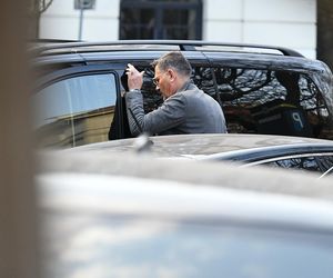 Ibisz powiększa rodzinę