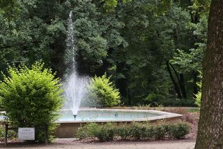 Ogród Saski w Lublinie w wakacyjny poranek 2025