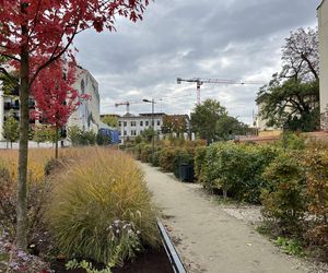 Park im. Wisławy Szymborskiej w Krakowie