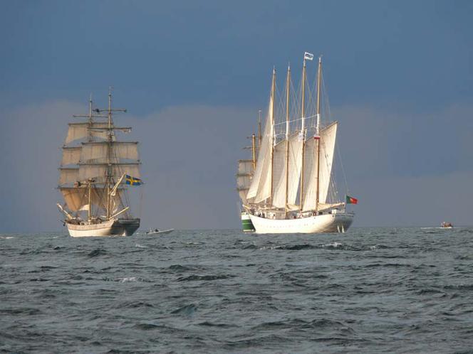 ParadaZagleGdyni2014_FotMZwierz_710354