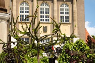 Drugi dzień Daisy Days 2024. Niesamowite aranżacje ogrodowe