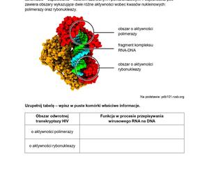 Biologia arkusze MATURA 2024 rozszerzenie FORMUŁA 2015