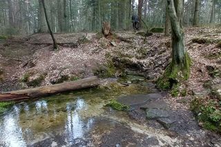 Źródło rzeki Kamiennej Biały stok