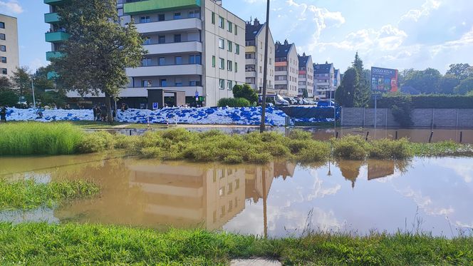 Stabłowice. Tak ratowali gołębie z działek