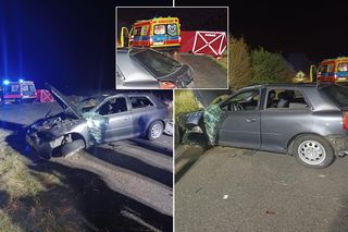 Zderzył się z sarną i wyleciał z auta! 36-latek zginął w wieczornej makabrze pod Bełchatowem [ZDJĘCIA, AKTUALIZACJA]