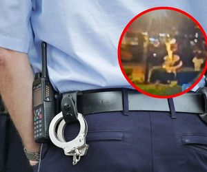 Chojrak wskoczył na fontannę i ją złamał. Jastrzębska policja szuka sprawcy, który uciekał w popłochu