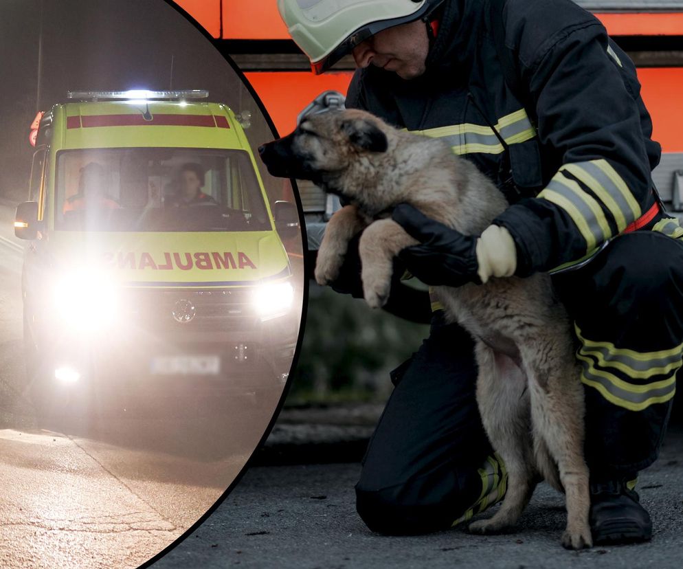 Sulmierzyce. Śmiertelny wypadek 71-latka